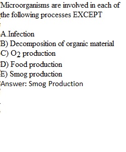 Topic 1 Quiz 1